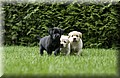 DSC_9780 (Small).JPG