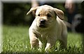 DSC_9795 (Small).JPG