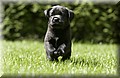 DSC_9799 (Small).JPG