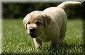DSC_9827 (Small).JPG