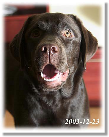 2003.12.23