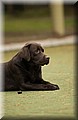 DSC_3978.JPG