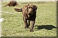 DSC_5988.JPG