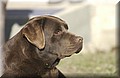 DSC_6111.JPG