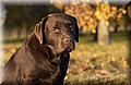 DSC_7093.JPG
