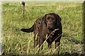 DSC_8926.JPG