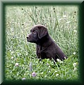 Foto 149.jpg