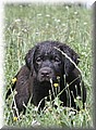 Foto 151.jpg
