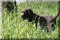 IMG_8159.JPG