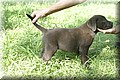 IMG_8162.JPG