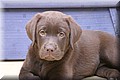 IMG_9362.JPG