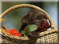 0240_800.jpg