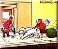 1019.jpg