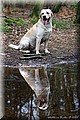 1459192-001633b7a48ac50f.jpg