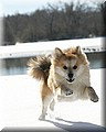 1460521-b7b35482fe2df320.jpg