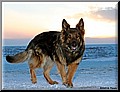 1460597-c7c84162a38afcbd.jpg