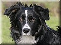 1461806-a60cfef625b643dd.jpg