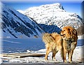 1464179-04334026f2dc05ea.jpg