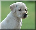 1465480-21017f6a6c00faef.jpg