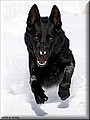1467286-e83c2255dc17c124.jpg