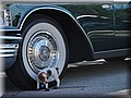 1495618-a3ddd0a37640b35c.jpg