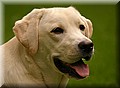 1497104-702207ca1f9231b1.jpg
