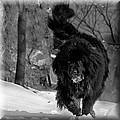1498697-d5bdf3f5f40b5b65.jpg