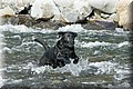 1498777-8bf99c502f6f95cb.jpg