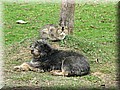 1505490-498028126524fcdd.jpg