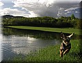 1507622-2afa7812432a4779.jpg