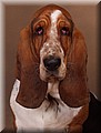 1508568-ba3e850ee9aede17.jpg