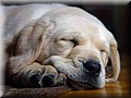 1512847-be29406e180c0d4c.jpg