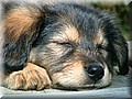1512854-48d223c850cad353.jpg