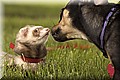 1532340-31079bd705447d84.jpg