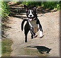 1546432-af40ba2298ec20be.jpg