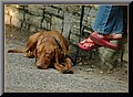 1604460-fc076e696696db4c.jpg