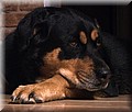 1606845-5cc871ec6fb58db6.jpg