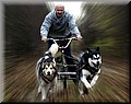 1608532-a417ce1098879e89.jpg
