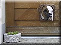 1608541-85e13e473a3e5a36.jpg