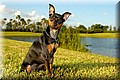 1608893-ccafa24bb931a5df.jpg