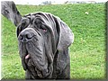 1609859-bb7c6fe11fff2713.jpg