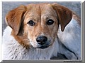 1626914-08dc8438bdfafae5.jpg