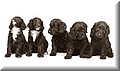 1631660-f640d930157371d5.jpg