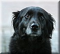 1635067-ad200a2864eabcd8.jpg