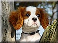 1635604-3454d4d32f9595be.jpg