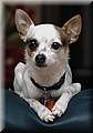1636481-5c9b24d20f3143bc.jpg