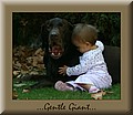1637467-c0d4bf0fe393b741.jpg