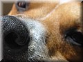 1638210-ed6d71717e4db2b6.jpg