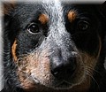 1638308-3223c2763dfdde2c.jpg