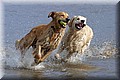 1639966-eaa86b2a6e506cb5.jpg
